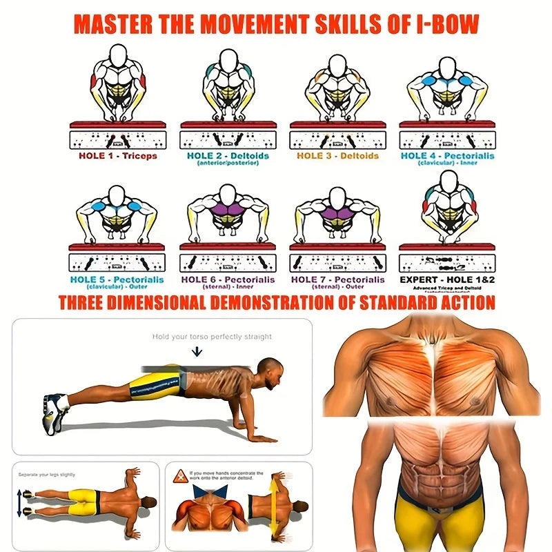 Foldable multifunctional push-up board with color-coded muscle targeting - product image