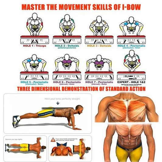Portable foldable push-up board with color-coded muscle targeting and handles - product image